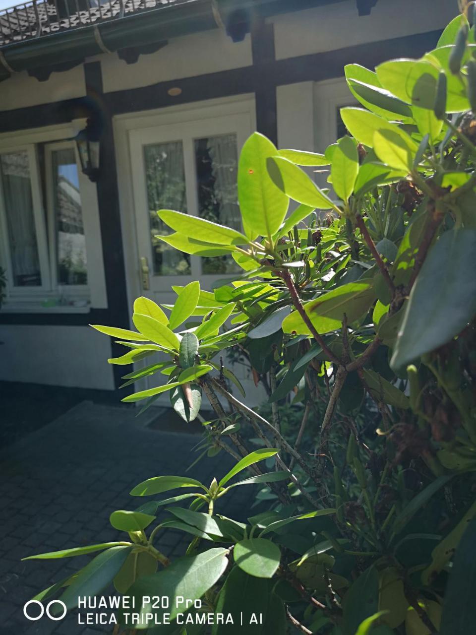 Hotel Zur Post Dabringhausen - Contactless Self Check-In Wermelskirchen Ngoại thất bức ảnh